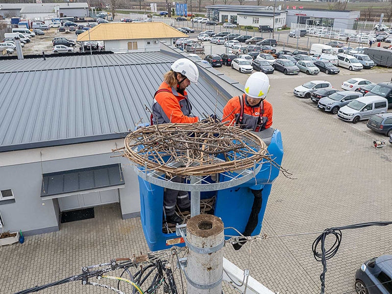 Madárvédelmi hajrá az OPUS TITÁSZ Zrt.-nél